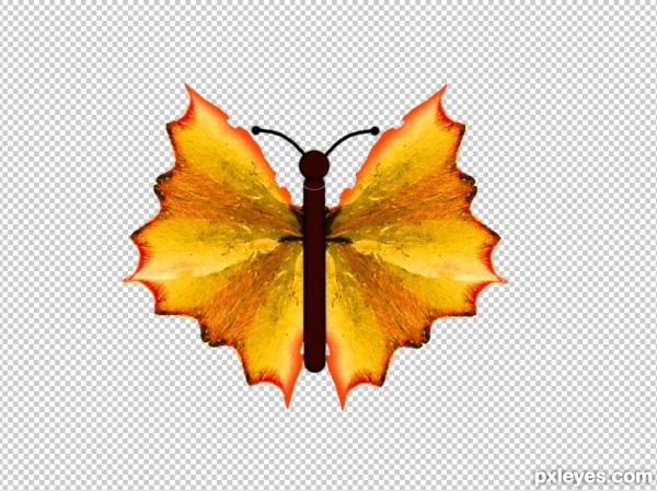 Creation of Butterfly: Step 14
